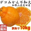 不知火(しらぬい) オレンジ みかん ＜デコポンと同品種＞ 家庭用 10kg