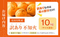 不知火(しらぬい)&nbsp;&nbsp;訳あり&nbsp;10kg&nbsp;サイズ混合