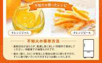 不知火(しらぬい)&nbsp;&nbsp;訳あり&nbsp;10kg&nbsp;サイズ混合