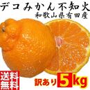 不知火(しらぬい) オレンジ みかん ＜デコポンと同品種＞ 家庭用 5kg