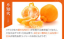 不知火(しらぬい)&nbsp;オレンジ&nbsp;みかん&nbsp;訳あり&nbsp;5kg&nbsp;サイズ混合