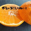 【春柑橘の恵】不知火(しらぬい)2.5kg分《贈答・秀品》