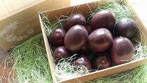 【先行受付】奄美大島産&nbsp;パッションフルーツ&nbsp;ご家庭用3kg（32～35個入）【果物&nbsp;くだもの&nbsp;パッションフルーツ&nbsp;南国&nbsp;トロピカルフルーツ&nbsp;美味しい&nbsp;&nbsp;フルーツ&nbsp;新鮮&nbsp;国産&nbsp;健康&nbsp;果汁&nbsp;夏&nbsp;季節の果物&nbsp;贈り物&nbsp;鹿児島県&nbsp;奄美大島&nbsp;瀬戸内町】