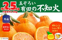 不知火 (しらぬい) 秀品 玉ぞろい 箱込 2.5kg (内容量約2.3kg)  和歌山県産 産地直送 【みかんの会】