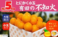 不知火 とにかく 小玉 箱込 5kg(内容量約 4.4kg) 秀優品混合 和歌山県産 産地直送 【みかんの会】