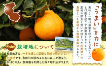 不知火&nbsp;とにかく&nbsp;小玉&nbsp;箱込&nbsp;5kg(内容量約&nbsp;4.4kg)&nbsp;秀優品混合&nbsp;和歌山県産&nbsp;産地直送［みかんの会］