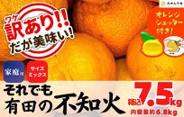 不知火 訳あり それでも 有田の不知火 箱込 7.5kg(内容量約 6.8kg) サイズミックス 和歌山県産 産地直送 【みかんの会】