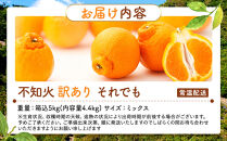 不知火&nbsp;訳あり&nbsp;それでも&nbsp;有田の不知火&nbsp;箱込&nbsp;5kg(内容量約&nbsp;4.4kg)&nbsp;サイズミックス&nbsp;和歌山県産&nbsp;産地直送［みかんの会］