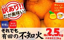 不知火 訳あり それでも 有田の不知火 箱込 2.5kg (内容量約 2.3kg) サイズミックス 和歌山県産 産地直送 【みかんの会】