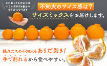 不知火&nbsp;訳あり&nbsp;それでも&nbsp;有田の不知火&nbsp;箱込&nbsp;2.5kg&nbsp;(内容量約&nbsp;2.3kg)&nbsp;サイズミックス&nbsp;和歌山県産&nbsp;産地直送［みかんの会］