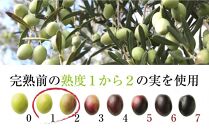 【井上誠耕園】～2024年搾りたて～ エキストラヴァージン緑果オリーブオイル (450g×2本)