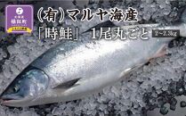 「時鮭」1尾丸ごと（2～2.3kg）【2022年5月より発送】