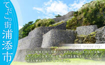 トミちゃんのジーマーミー豆腐アソート30個セット（プレーン＆黒糖）|沖縄県&nbsp;浦添市&nbsp;豆腐　ジーマミ　ジーマーミ―　ジーマーミー　じーまーみ　じーまみ&nbsp;　&nbsp;人気&nbsp;&nbsp;手造り&nbsp;トミ家工房&nbsp;トミちゃん