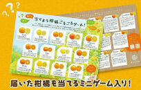 旬の柑橘食べ比べ&nbsp;柑橘ごろごろ&nbsp;3種&nbsp;箱込&nbsp;2.5kg(内容量&nbsp;2.3kg)&nbsp;秀品&nbsp;優品&nbsp;混合&nbsp;和歌山県産&nbsp;産地直送&nbsp;【おまけ付き】【みかんの会】