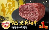 【期間・数量限定】大府市特産　A5黒毛和牛特選あかみ塊肉　1.0kg