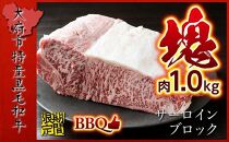 【期間・数量限定】大府市特産　黒毛和牛特選サーロイン塊肉　1.0kg