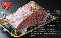 【期間・数量限定】大府市特産　A5黒毛和牛特選サーロイン塊肉　1.0kg
