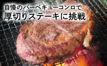 【期間・数量限定】大府市特産　A5黒毛和牛特選サーロイン塊肉　1.0kg