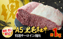 【期間・数量限定】大府市特産　A5黒毛和牛特選サーロイン塊肉　1.0kg