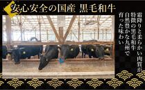 極味や博多ハンバーグ2個入りタレセット