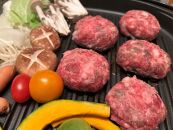 極味や博多ハンバーグ2個入りタレセット