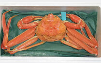 加能ガニ（大）　ボイル