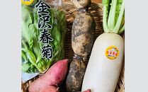 人気の加賀野菜　贅沢詰め合わせ（秋冬）