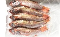 高級魚　天然のどぐろ　生冷凍（真空パック）　5尾