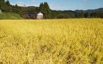 輪島市産　金蔵米蔵金　1.5kg