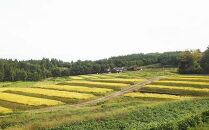 輪島市産　金蔵米蔵金　1.5kg