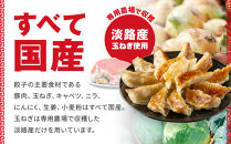 50年餃子　元祖肉餃子＆野菜増し肉餃子&nbsp;各種40個入り