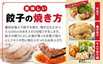 50年餃子　元祖肉餃子＆野菜増し肉餃子&nbsp;各種40個入り