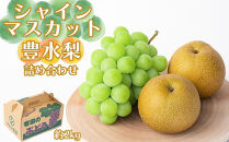 シャインマスカット、豊水梨　詰め合わせ約2kg箱