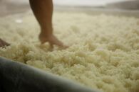 お米の乳酸発酵飲料　うふふのモト12本セット