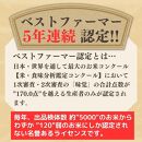 【令和6年産 】新潟県 南魚沼産 コシヒカリ お米 こしひかり 精米 白米 のし 贈り物  熨斗 贈答用 令和6年産 旧塩沢町 中之島地区産 薬師ベストファーマー米 3kg