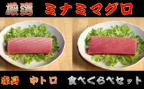 MH007　厳選ミナミマグロ赤身、中トロ食べくらべ【誉丸】