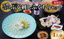 かじ本店特選　博多長浜鮮魚市場で水揚げされた天然トラフグ ふぐ刺し、ふぐちりセット（4人前）