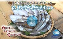 京丹後の地元魚屋が作ったお任せ干物セット（冷蔵）【訳あり】