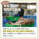 【蟹の匠　魚政】茹で松葉ガニ　魚政BLACK　特選　700g級　1匹(2023年1月～発送)