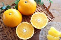 ◆【先行予約2022年12月以降発送】マルナカ農園の果汁たっぷりジューシーな八朔約５kg・Lサイズ