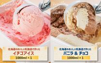 北海道産乳製品100%使用 さくら食品 バラエティ アイスセット2 8種