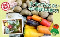 季節の彩り野菜セット　S