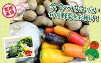 季節の彩り野菜セット　M