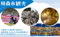 【着日指定可】天然まふくのタタキ刺し（約2～3人前）