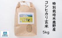特別栽培米鹿野産コシヒカリ玄米5kg (5kgx1袋)