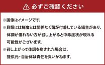 【358】北海道小樽よりお届け！ 北海道産 急速冷凍 刺身用帆立 K0080421