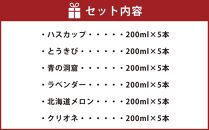 北海道 ラムネ 6種セット 各200ml×5本ずつ (北海道メロン、ハスカップ、ラベンダー、青の洞窟、クリオネ、とうきび)