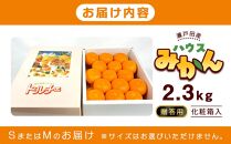 瀬戸田産ハウスみかん（贈答用）約2.3キロ 化粧箱 贈り物 ギフトドルチェみかん フルーツ 柑橘 果物 産直