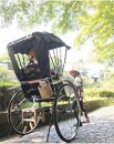 人力車で巡る究極SDGｓ 歴史あふれる金沢観光 60分貸切コース利用券 ☆ふるさと納税プラン☆ 【2名様分乗車チケット】  石川 金沢 加賀百万石 加賀 百万石 北陸 北陸復興 北陸支援