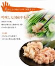 九州名物とめ手羽 博多もつ鍋セット 九州しょうゆ味 2～3人前